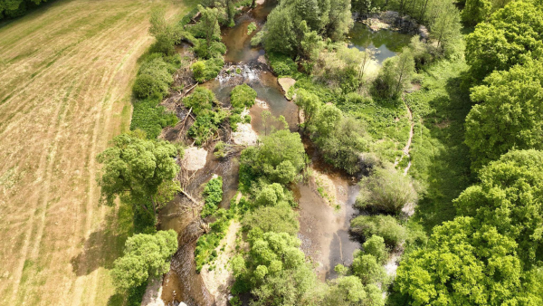 Luftaufnahme eines naturnahen, geschwungenen Flusslaufs mit dicht bewachsenen Uferbereichen und angrenzenden Wiesen