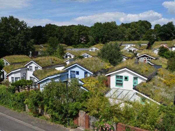 ©Bundesverband GebäudeGrün