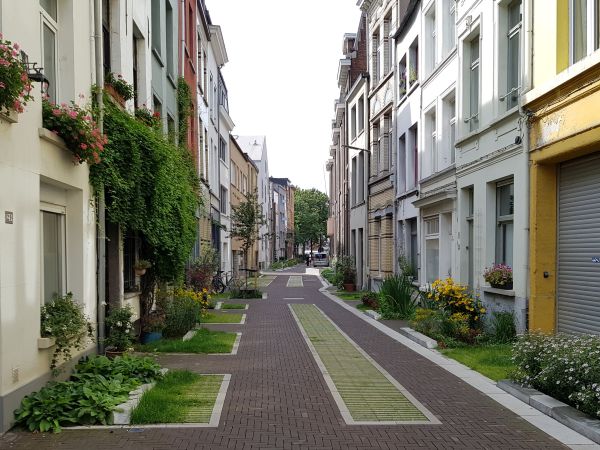 Straßenzug nach Umbau mit viel Grün und Versickerungsflächen