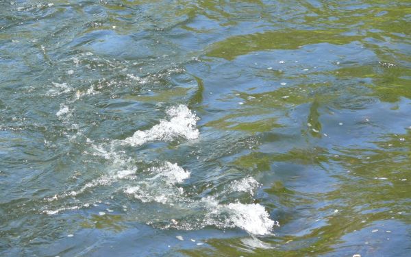 bewegtes Wasser mit kleinen Wellen und spritzenden weißen Schaumkronen