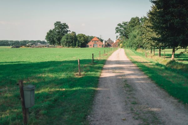 Zufahrtsweg zu einem Bauernhof mit mehreren Gebäuden und Fahrsilos. Er ist gesäumt von eingezäunten Weiden im Sommer in Holland.