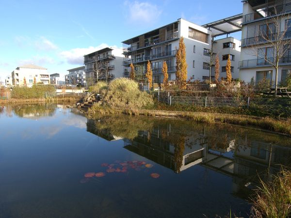 Teich mit Seerosen, Kaskadenanlage und Schilf als Regenrückhaltebecken in einer Wohnsiedlung in Hannover mit neuen mehrstöckigen Wohnanlagen.