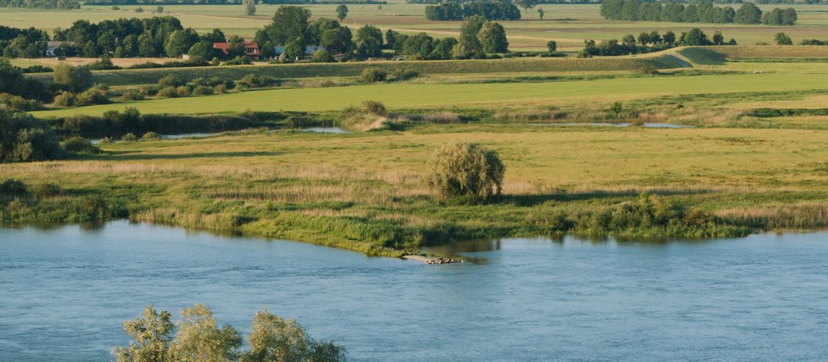 Blick auf naturnahen Flusslauf in der Landschaft