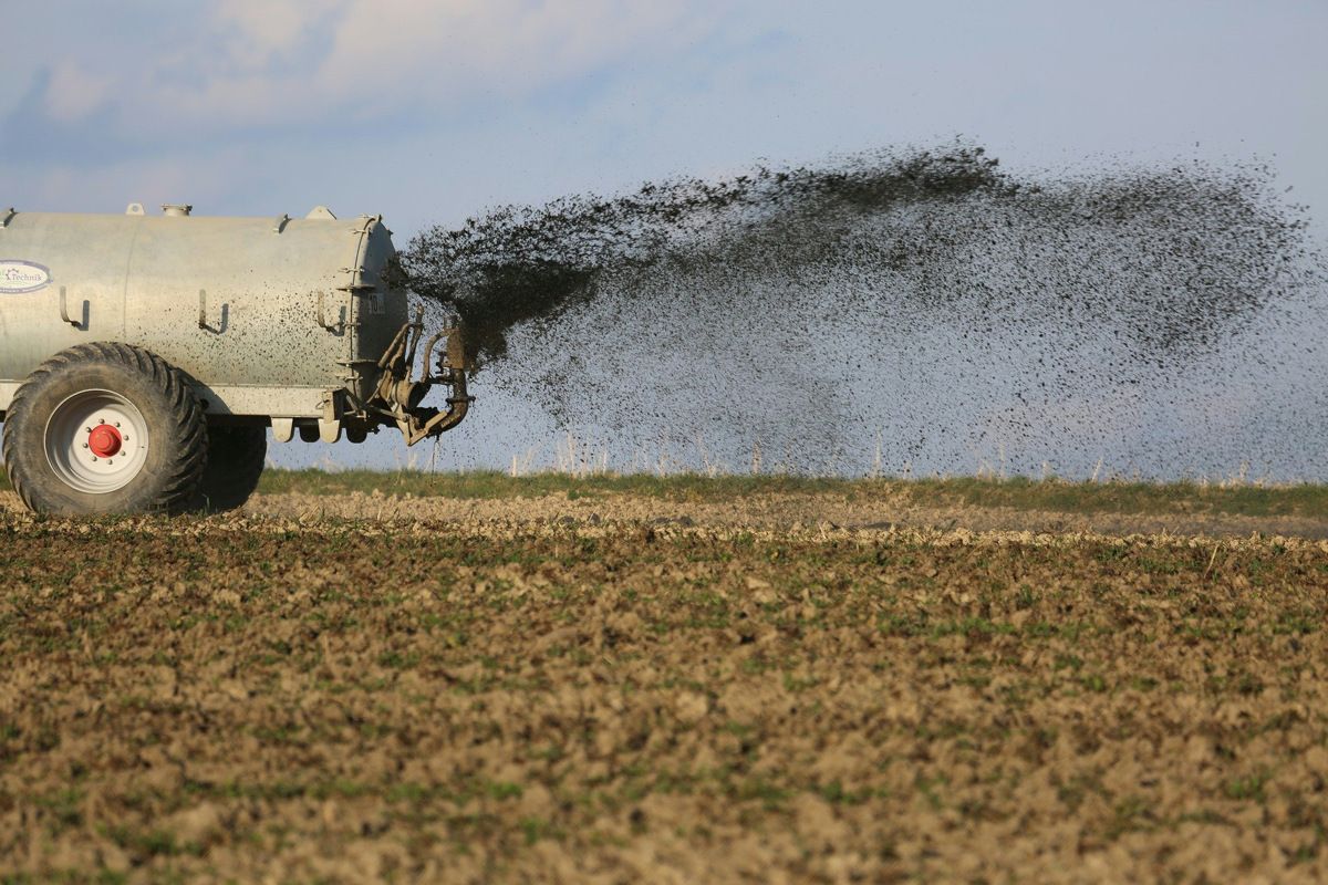 Güllewagen versprüht Dünger auf einem Feld