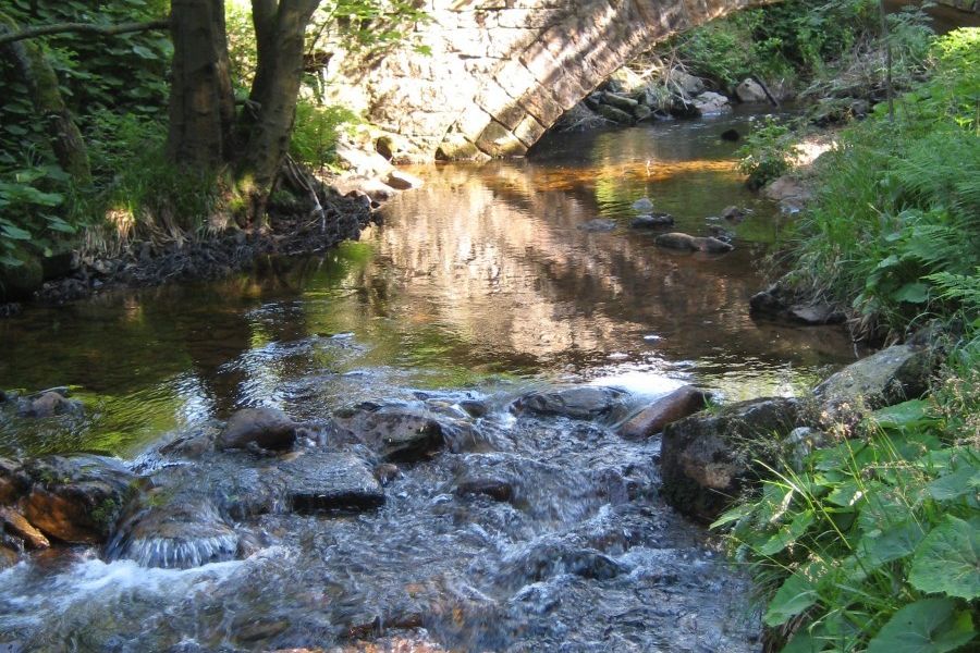 Ein Gewässer fließt durch ein Waldgebiet, im Hintergrund eine aus Steinen erbaute Brücke.